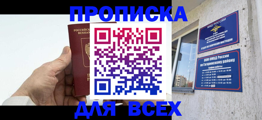 прописка в Вязьме